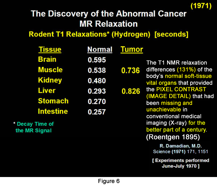 Figure 6- MR Relaxation Times