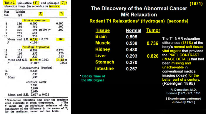 marked difference in the relaxation time 