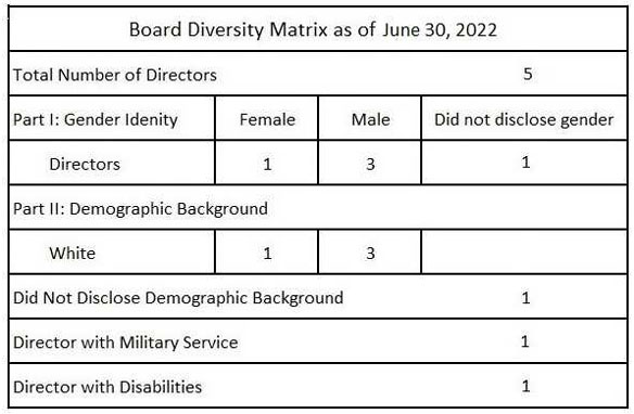 Board Diversity Matrix
