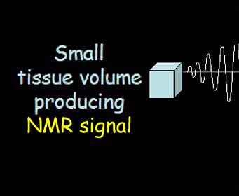 Small tissue volume producing NMR signal